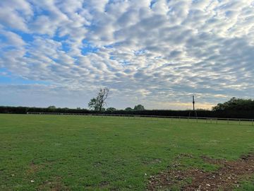 Moody morning on the non-electric pitches