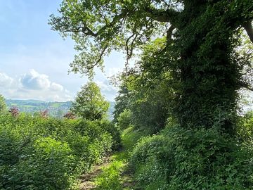 Path up to the canal