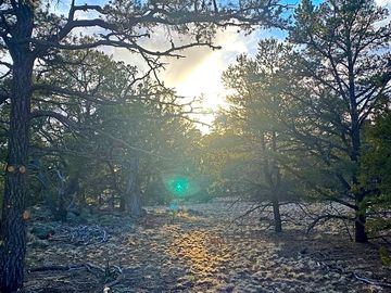 Campground trails