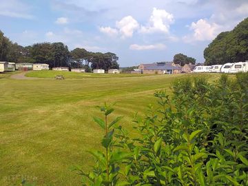 Top field
