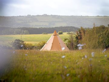 Campsite view through the meadow