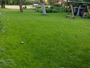 Grass pitches backed by trees