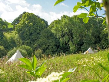 Bell tents on site