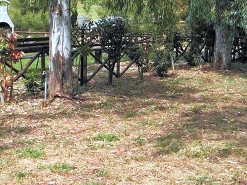 Pitch under the trees