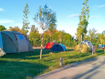 Grass tent pitches