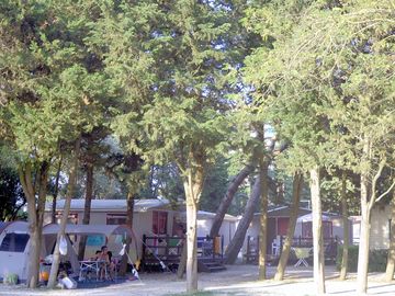 Lots of trees for shade on the pitches