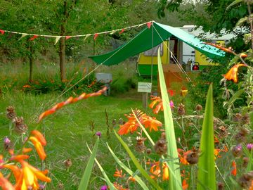 The glampavan sits on its own in the orchard area of Orchid Meadows