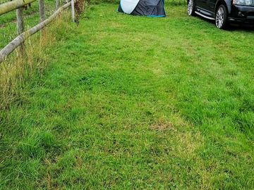 Grassy pitch