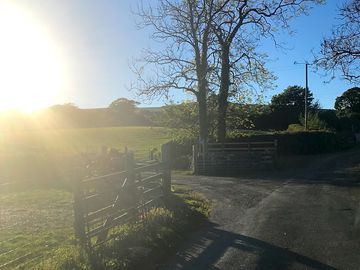 Sunset over the site