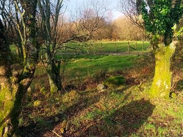 Around the campsite
