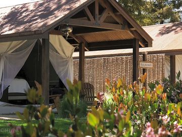 Safari Tent King with Bunks Exterior