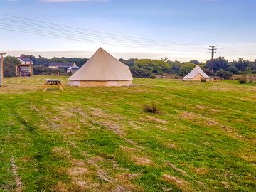 Showing Anna Belle & Clara Belle in glamping field - photo taken early evening