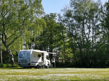 Grassy pitches