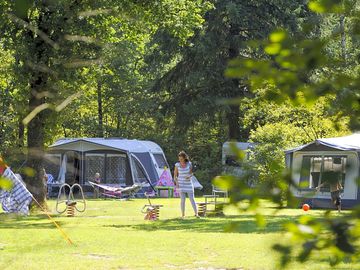 Shaded pitches surrounded the trees