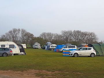 Electric grass tent pitch