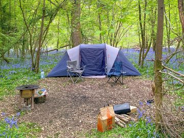 Visitor image of tent pitch