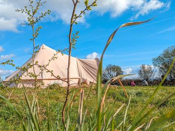 Comfrey bell tent with a porch