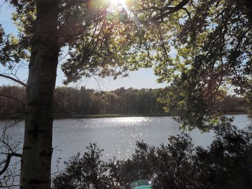 Peaceful lakeside setting