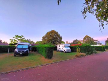 Grass pitches divided by hedges