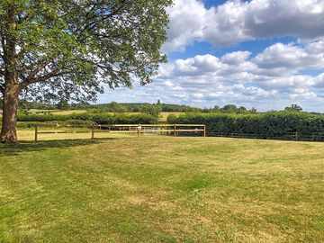 Grass pitches