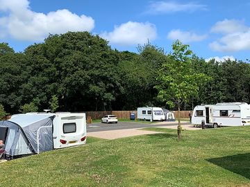 View from my pitch trees all round perimeter of park👍