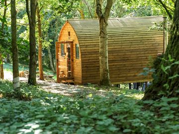 Cabin exterior