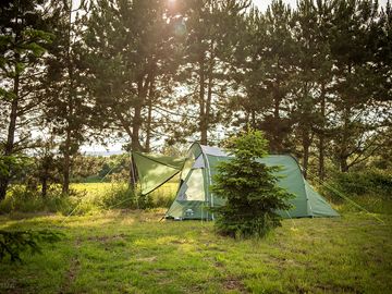 Tent pitched at Nether Hall Farm