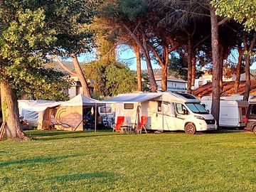 Pitches under the trees