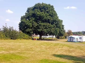 Grass pitches