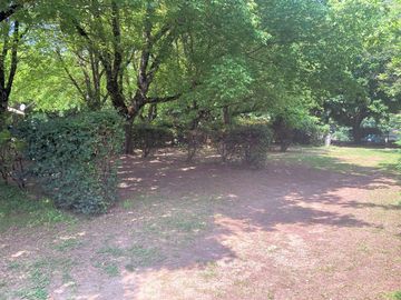 Spacious pitches