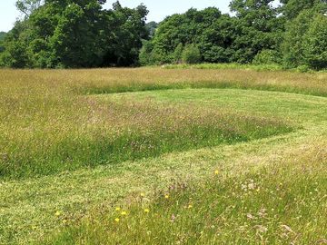 Camping meadow