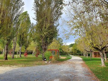 Paths around the site