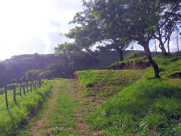 Green site