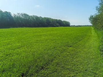 Grass pitches