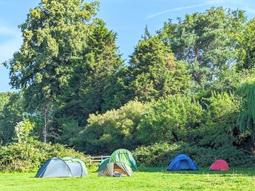 Sun or shade in the morning? Choose your own spot