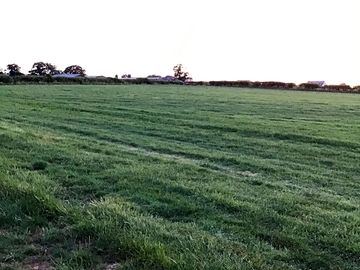 Grass pitches