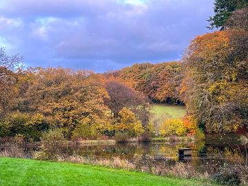Lots of lovely colours