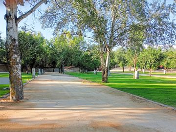 Pitches shaded by trees