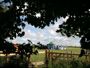 The summer field