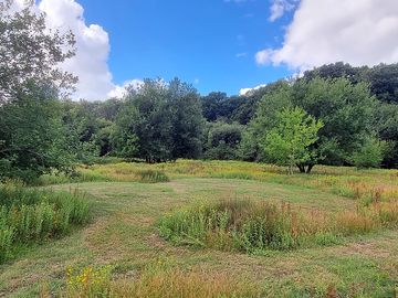 Meadow pitch