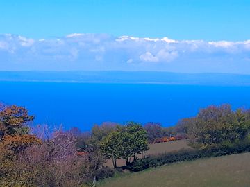 Sea view from garden area