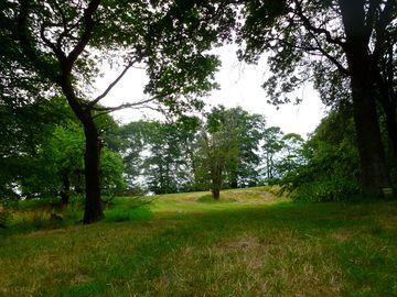 Pitch among the trees