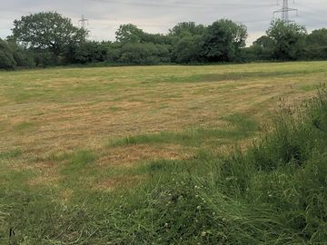 Jeffreyston field
