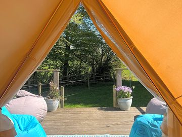 View from the tent