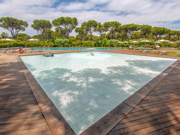 Pool surrounded by trees