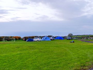 Grass tent pitches