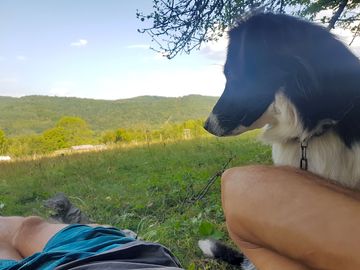 Dog-friendly wild site with views