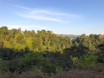 Views from site