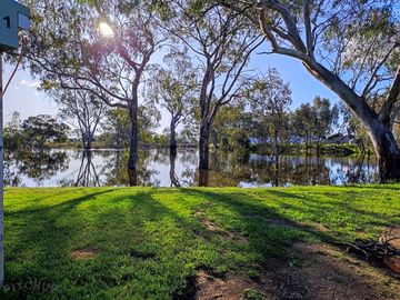 Plenty of shade from the trees