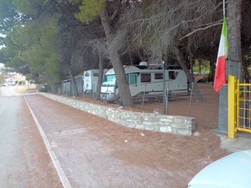 Pitches under the trees